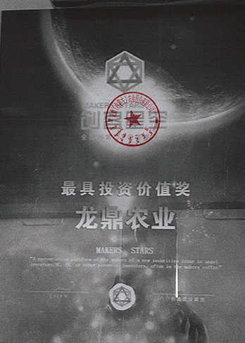 榮譽資質